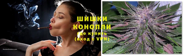 mdpv Медвежьегорск