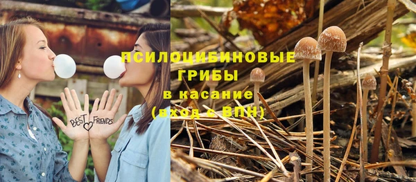 прущая мука Мегион