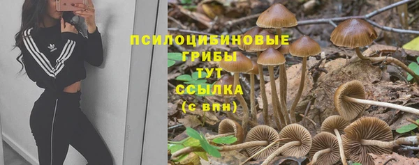 mdpv Медвежьегорск