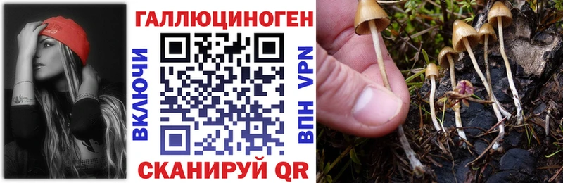 что такое   Талица  Галлюциногенные грибы мицелий 